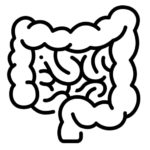 Digestive Conditions treated with Naturopathic Medicine