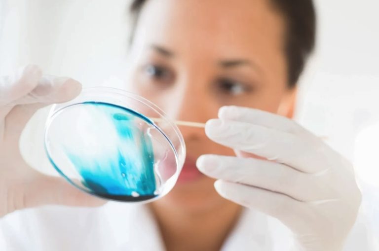 On-site Lab Services