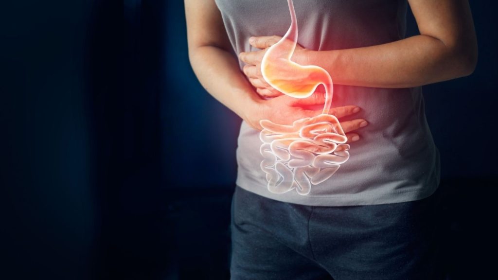 naturopathic medicine and gut health