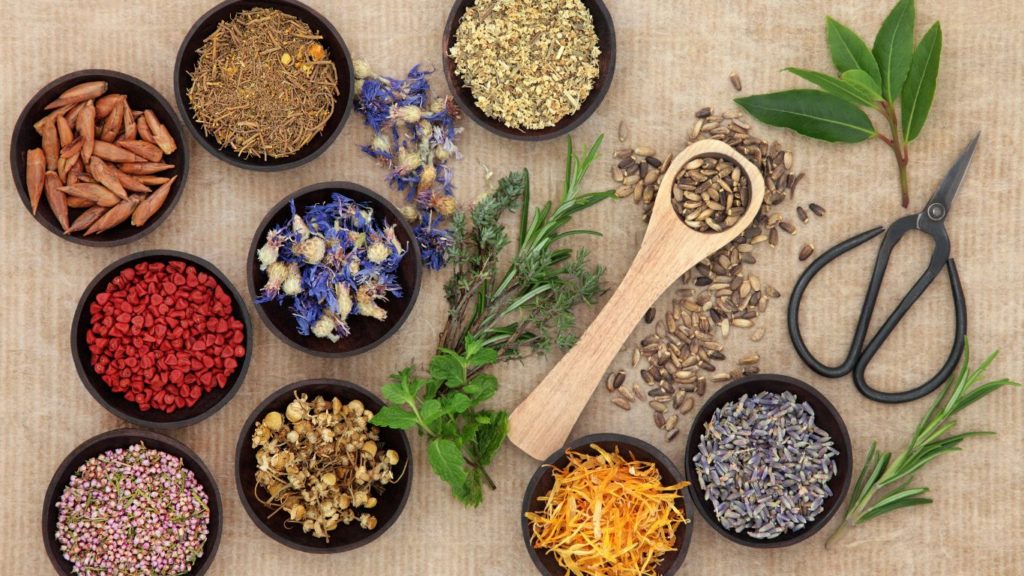 naturopathic care